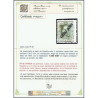 1925 ED. Cabo Juby 22/25 *