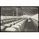 1910-1924 ED. 12 * Enteros Postales Privados