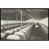1910-1924 ED. 12 * Enteros Postales Privados