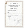 Lote: ZY0077