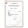 Lote: ZY0079