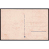Lote: ZY0117