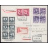 Lote: ZY0118