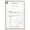 Lote: ZX0076