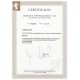 Lote: ZW0021