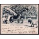 Lote: ZW0145
