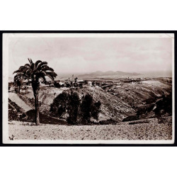 Lote: ZV0070