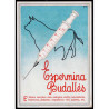 Lote: ZQ0079