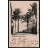 Lote: ZP0099