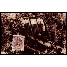 Lote: ZP0153