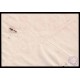 Lote: ZO0155