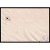 Lote: ZO0155