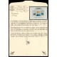 Lote: ZO0165