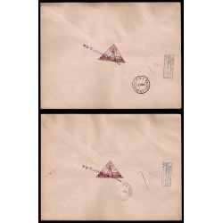 Lote: ZO0229