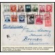 Lote: ZL0047