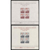 Lote: ZJ0003