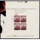 Lote: ZJ0006