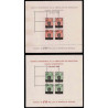 Lote: ZJ0027