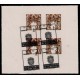 Lote: ZJ0042