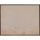 Lote: ZI0084