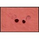 Lote: ZG0138