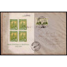 Lote: ZG0148