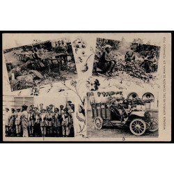 Lote: ZF0040