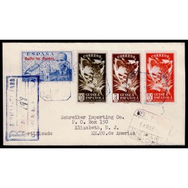 Lote: ZF0137