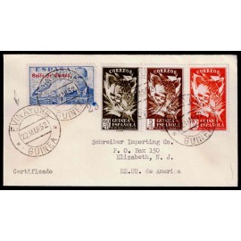Lote: ZF0138