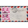 Lote: ZF0165