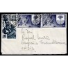 Lote: ZF0173