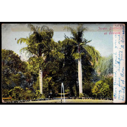 Lote: ZF0193