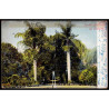 Lote: ZF0193