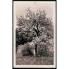 Lote: ZE0132
