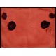 Lote: ZD0041