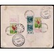 Lote: ZD0067
