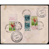 Lote: ZD0067