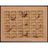 Lote: ZD0090