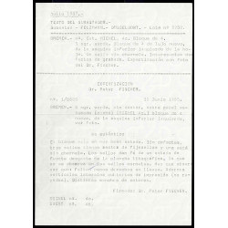 Lote: ZC0076