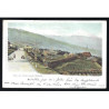 Alfonso XIII ED. 243