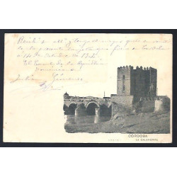 Alfonso XIII ED. 242 (x3)